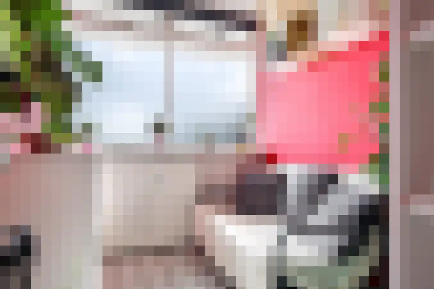 Dovenetellaan 29 Arnhem thumbnail 37