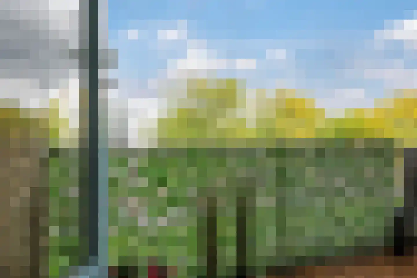 Dovenetellaan 29 Arnhem thumbnail 40
