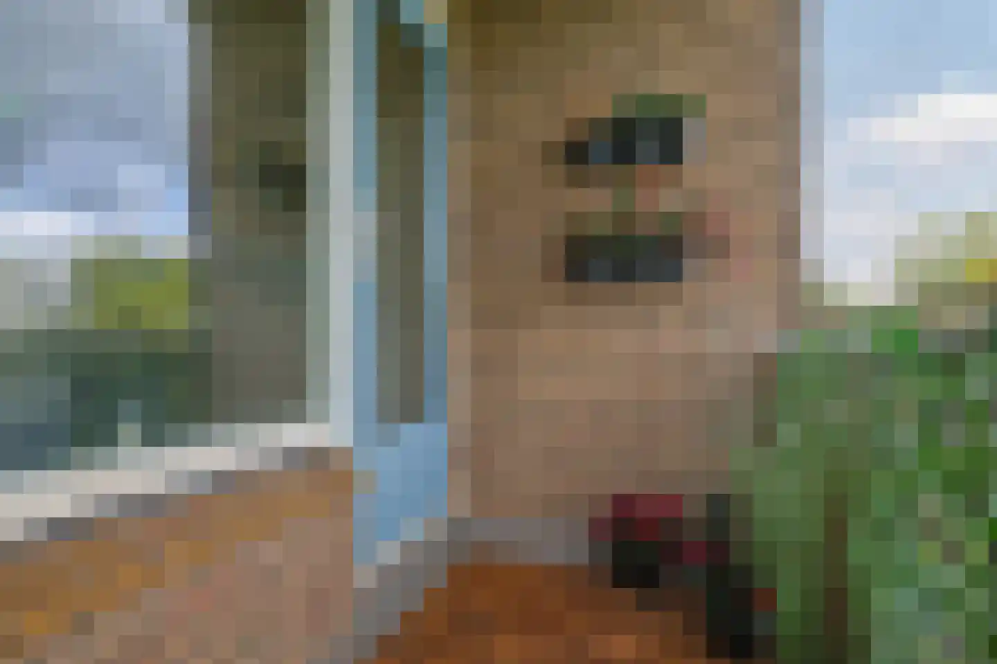 Dovenetellaan 29 Arnhem thumbnail 41