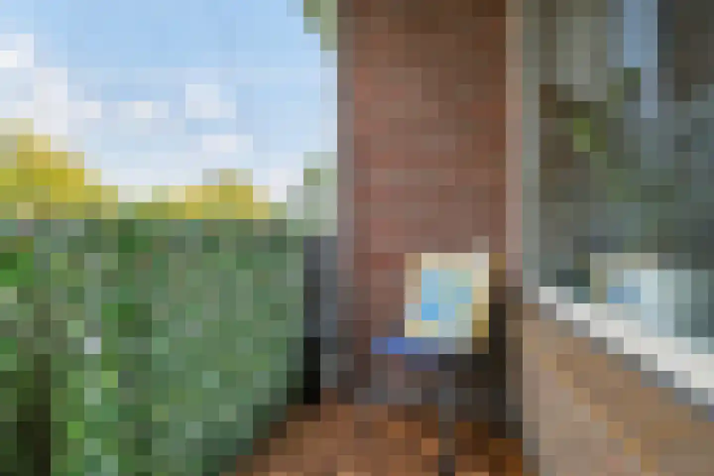 Dovenetellaan 29 Arnhem thumbnail 43
