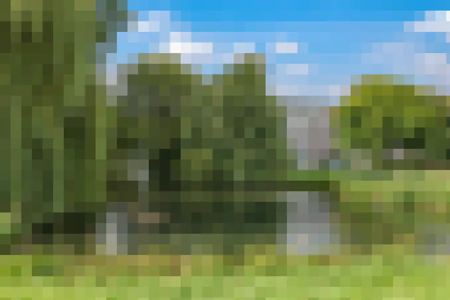 Dovenetellaan 29 Arnhem thumbnail 64
