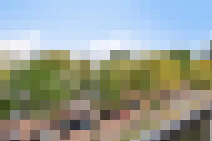 Dovenetellaan 39 Arnhem thumbnail 16