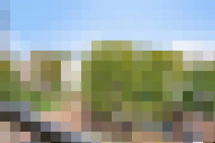 Dovenetellaan 39 Arnhem thumbnail 17