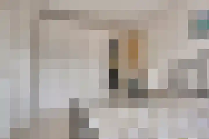 Dovenetellaan 39 Arnhem thumbnail 22