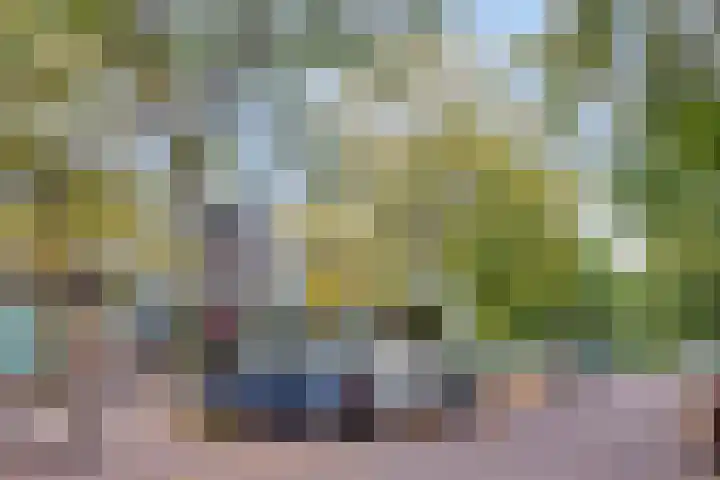 Dovenetellaan 39 Arnhem thumbnail 25