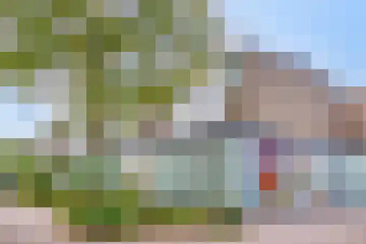 Dovenetellaan 39 Arnhem thumbnail 5