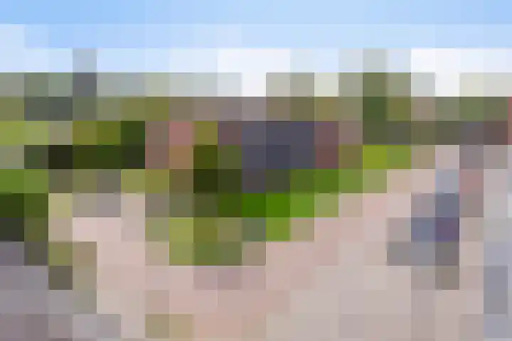 Dovenetellaan 39 Arnhem thumbnail 6