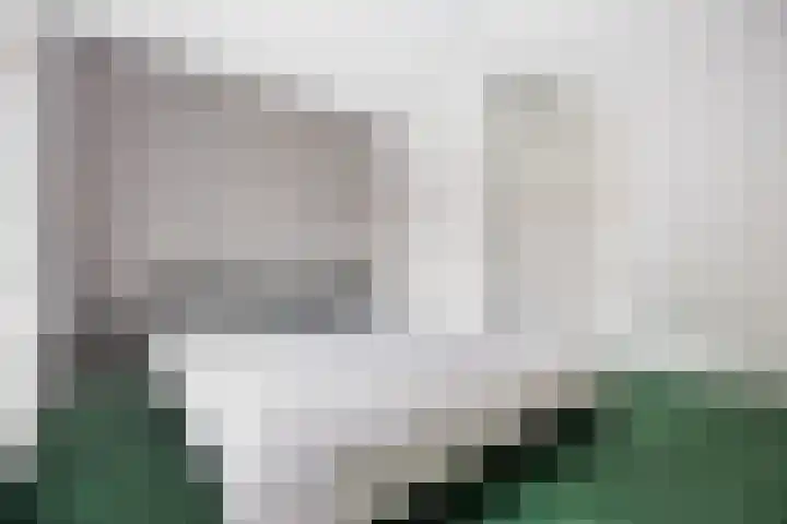 Dovenetellaan 40 Arnhem thumbnail 20