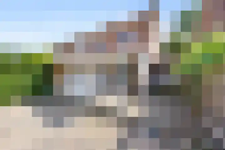 Dovenetellaan 40 Arnhem thumbnail 31