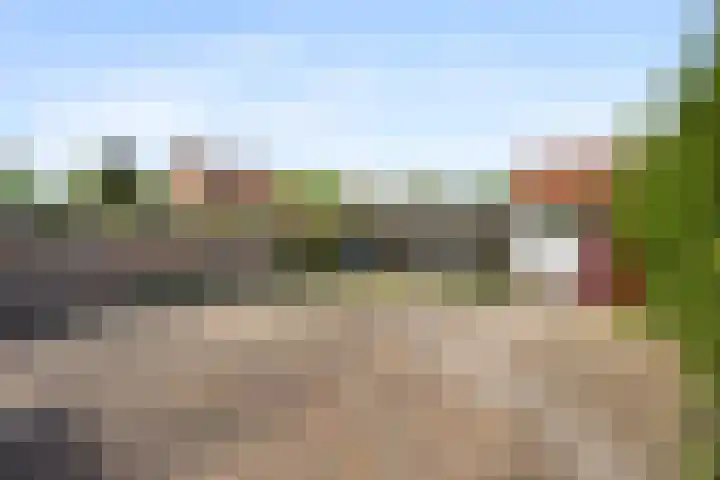 Dovenetellaan 40 Arnhem thumbnail 33