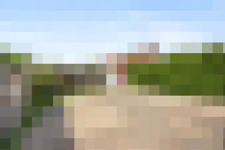 Dovenetellaan 40 Arnhem thumbnail 34