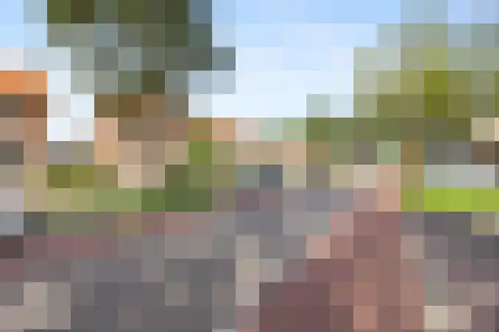 Dovenetellaan 40 Arnhem thumbnail 36