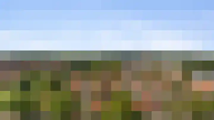 Dovenetellaan 40 Arnhem thumbnail 39