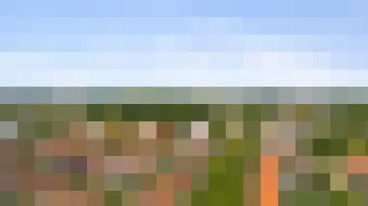 Dovenetellaan 40 Arnhem thumbnail 40