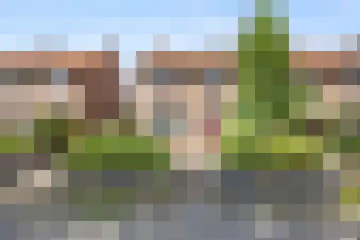 Dovenetellaan 40 Arnhem thumbnail 41