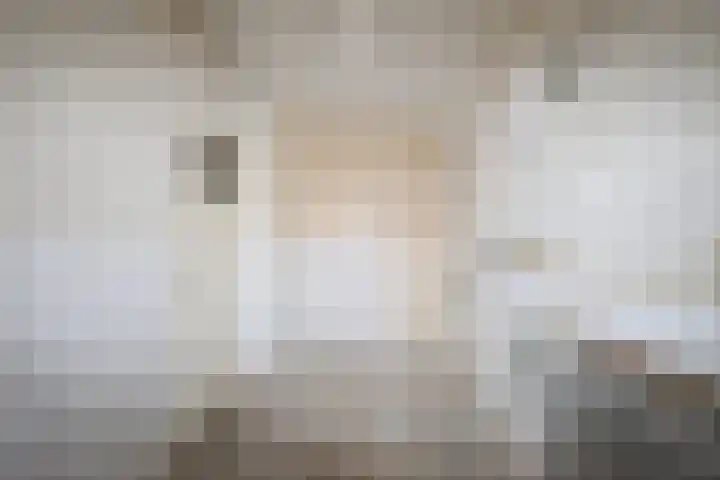 Dovenetellaan 41 Arnhem thumbnail 22