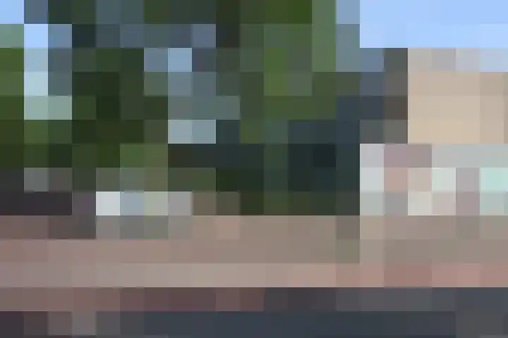 Dovenetellaan 41 Arnhem thumbnail 28