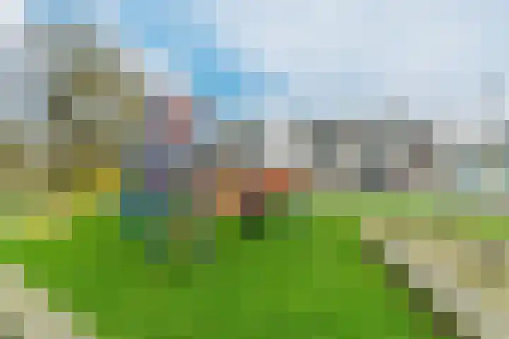 Dovenetellaan 41 Arnhem thumbnail 30