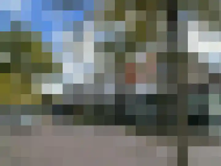 Dovenetellaan 41 Arnhem thumbnail 31