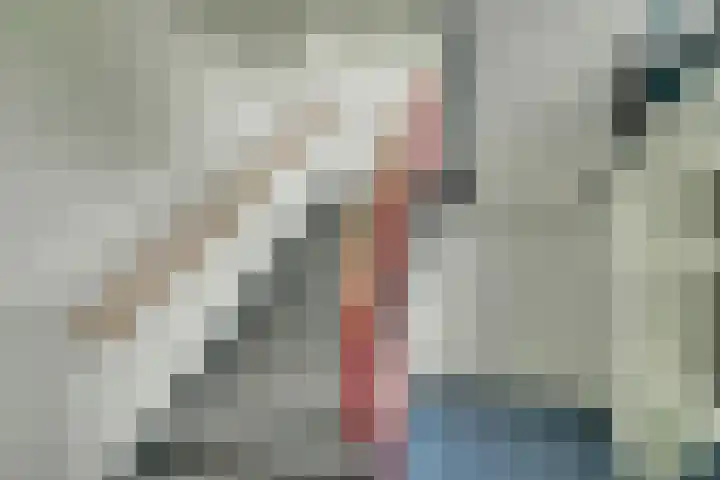 Dovenetellaan 41 Arnhem thumbnail 5
