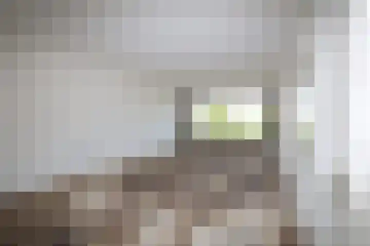 Dovenetellaan 41 Arnhem thumbnail 8