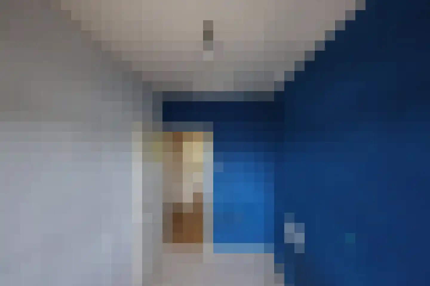 Dovenetellaan 51 Arnhem thumbnail 17