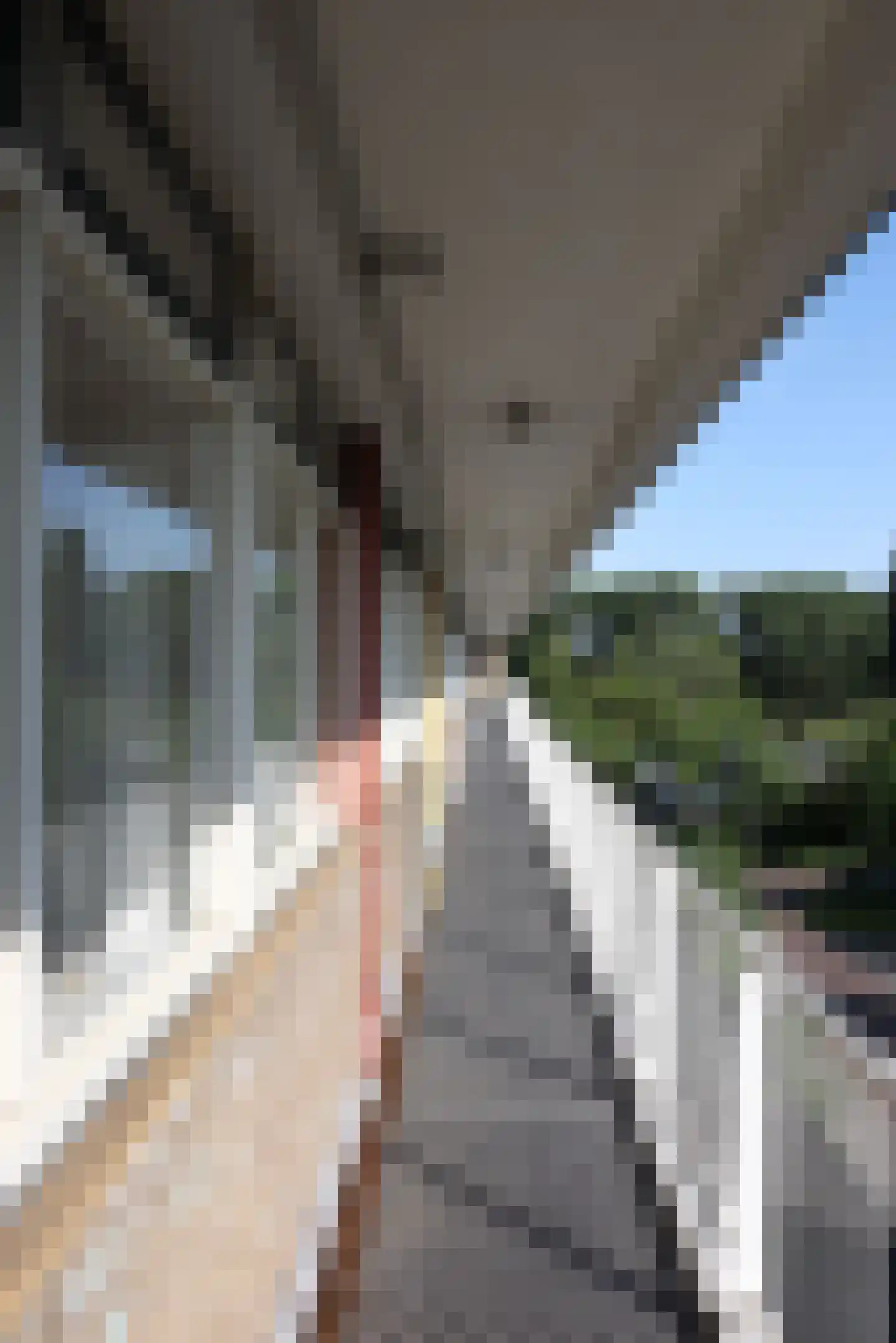 Dovenetellaan 51 Arnhem thumbnail 8