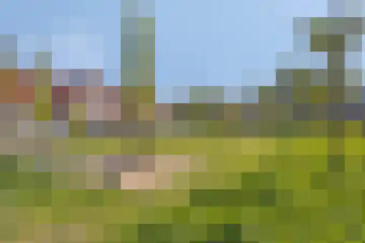 Dovenetelstraat 30 Vught thumbnail 36