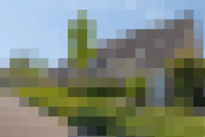 Dovenetelstraat 30 Vught thumbnail 40