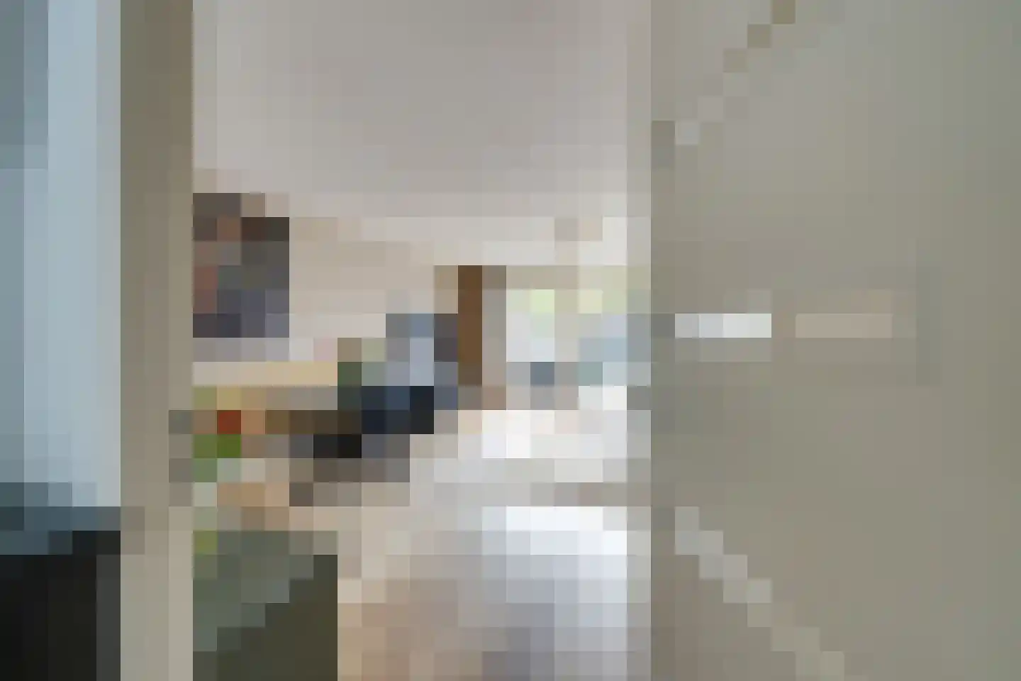 Dovenetelstraat 5 Purmerend thumbnail 10