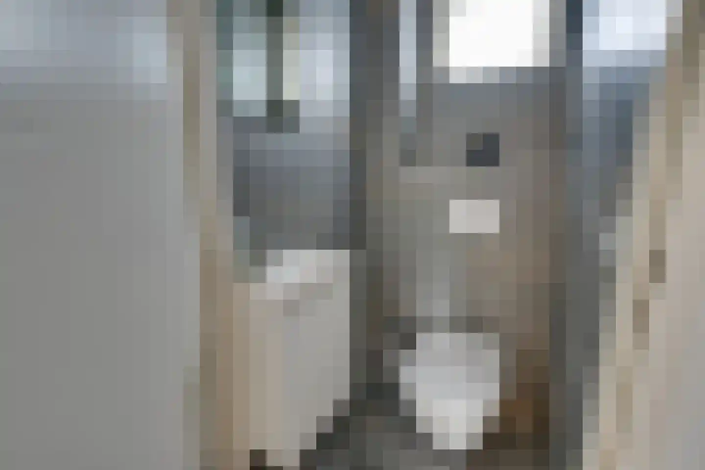 Dovenetelstraat 5 Purmerend thumbnail 30