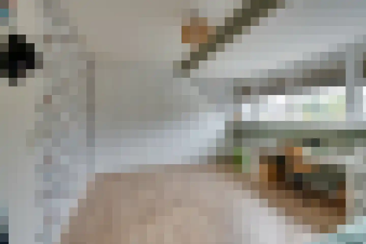 Dovenetelstraat 5 Purmerend thumbnail 33