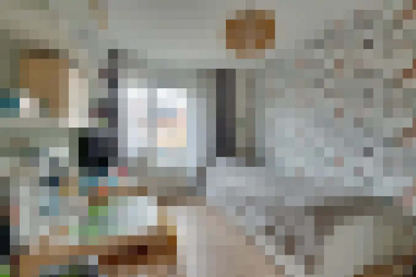 Dovenetelstraat 5 Purmerend thumbnail 36