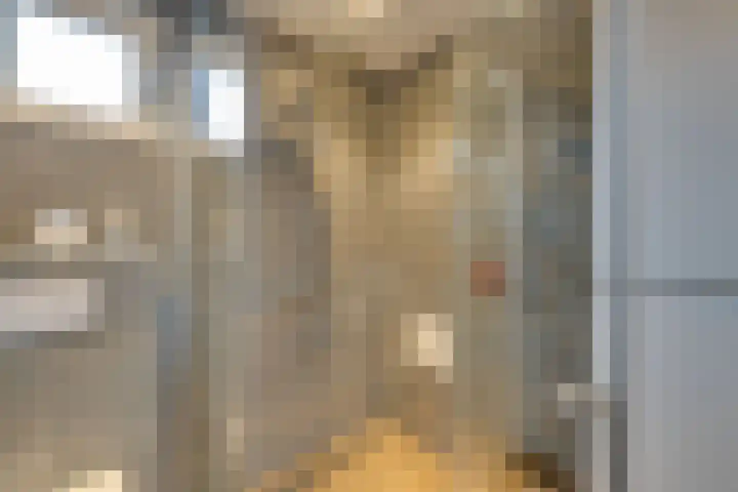 Dovenetelstraat 5 Purmerend thumbnail 39