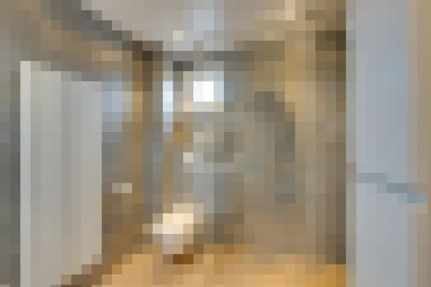 Dovenetelstraat 5 Purmerend thumbnail 4