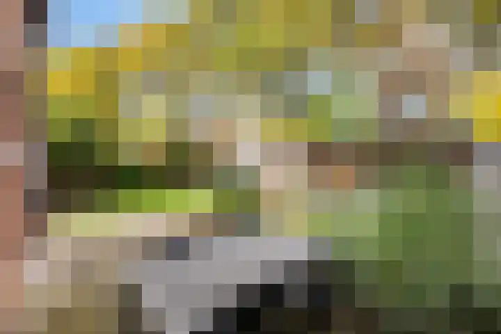 Dovenetelweg 16 Zwolle thumbnail 10