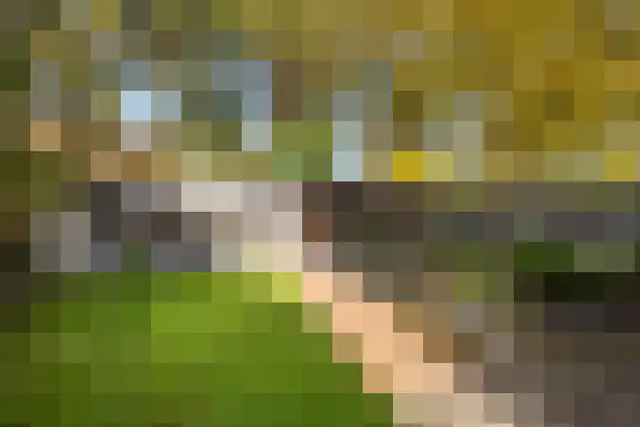 Dovenetelweg 16 Zwolle thumbnail 11