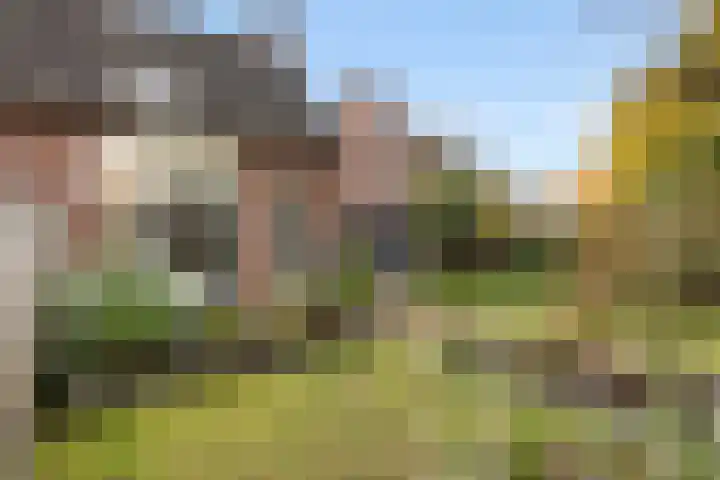 Dovenetelweg 16 Zwolle thumbnail 13