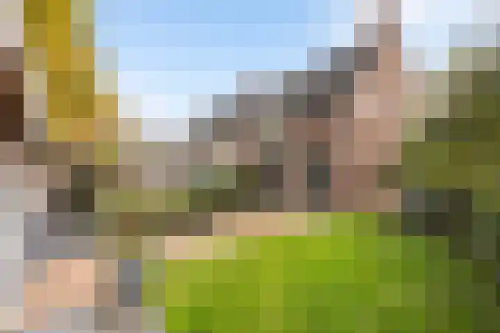 Dovenetelweg 16 Zwolle thumbnail 14