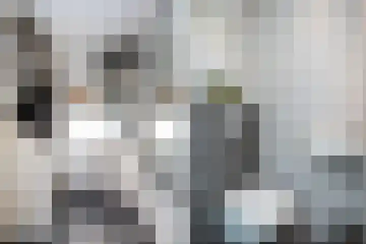 Dovenetelweg 16 Zwolle thumbnail 20