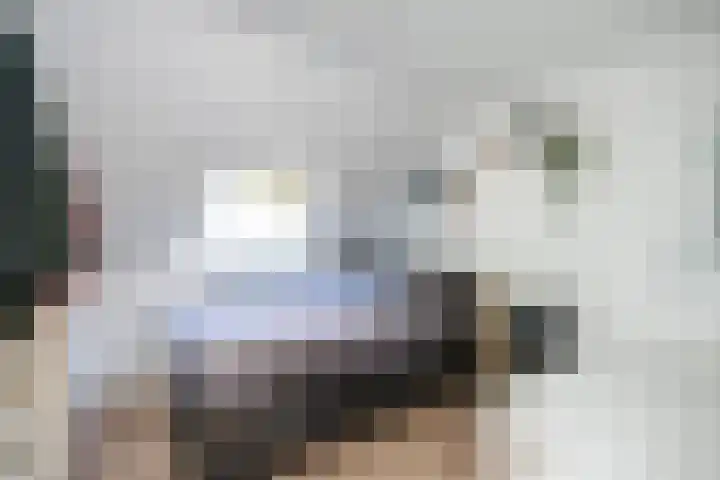 Dovenetelweg 16 Zwolle thumbnail 24