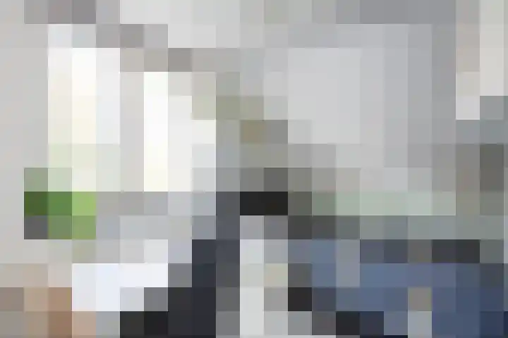 Dovenetelweg 16 Zwolle thumbnail 26