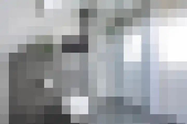 Dovenetelweg 16 Zwolle thumbnail 31