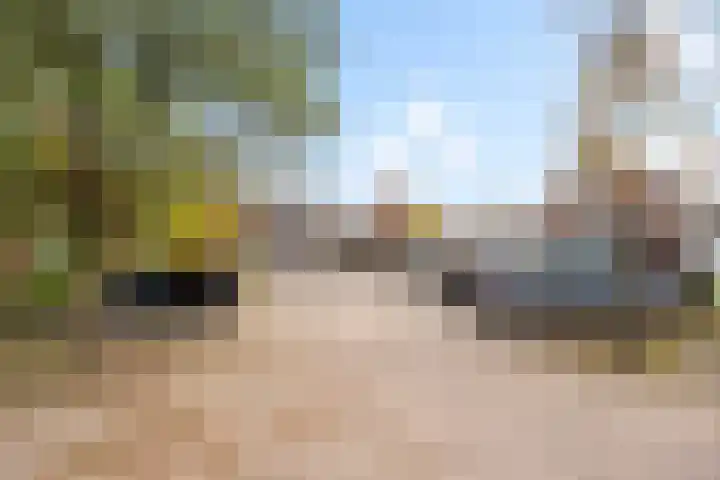 Dovenetelweg 16 Zwolle thumbnail 34