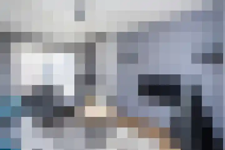 Dovenetelweg 16 Zwolle thumbnail 4