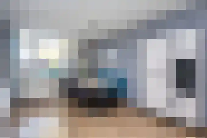Dovenetelweg 16 Zwolle thumbnail 7