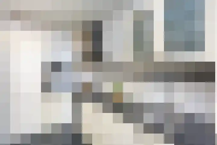 Dovenetelweg 16 Zwolle thumbnail 9