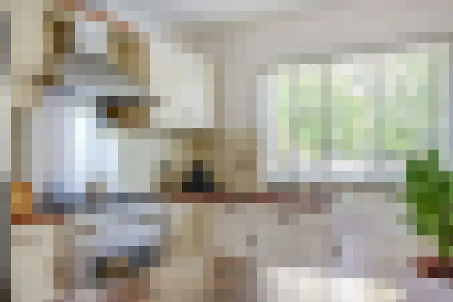 Dovenetelweg 20 Zaandam thumbnail 19
