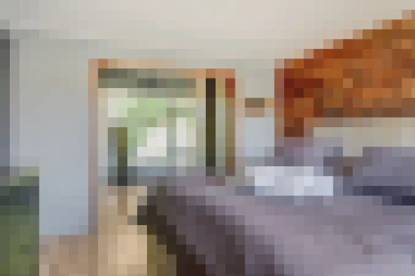 Dovenetelweg 20 Zaandam thumbnail 22
