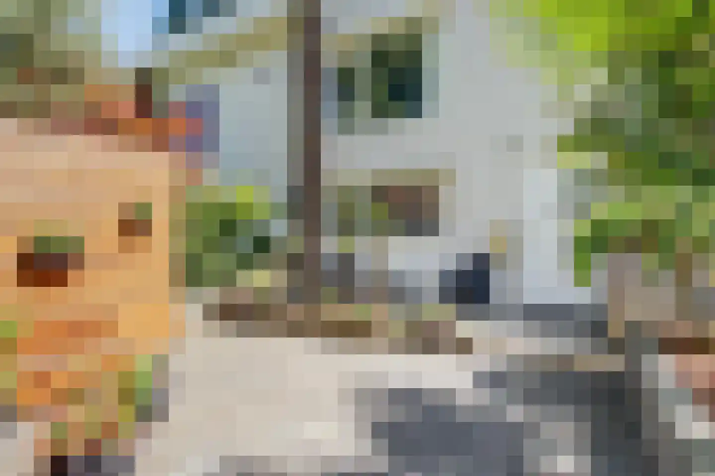 Dovenetelweg 20 Zaandam thumbnail 5